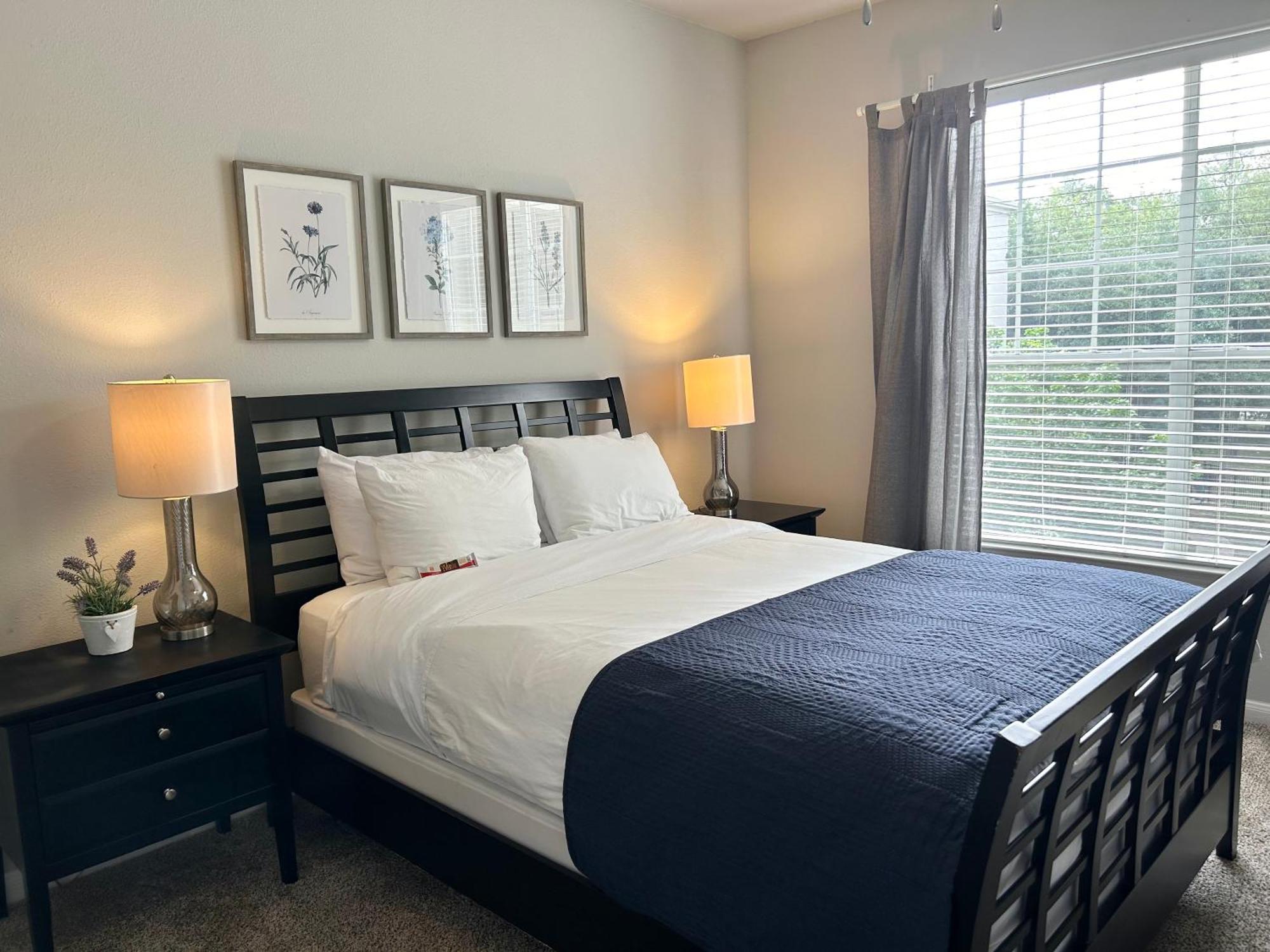 Hidden Gem At Med Center 2Br & 2Ba Apartment 休斯敦 外观 照片