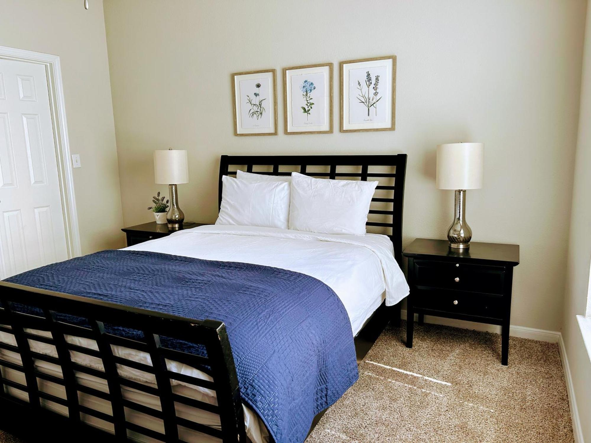 Hidden Gem At Med Center 2Br & 2Ba Apartment 休斯敦 外观 照片