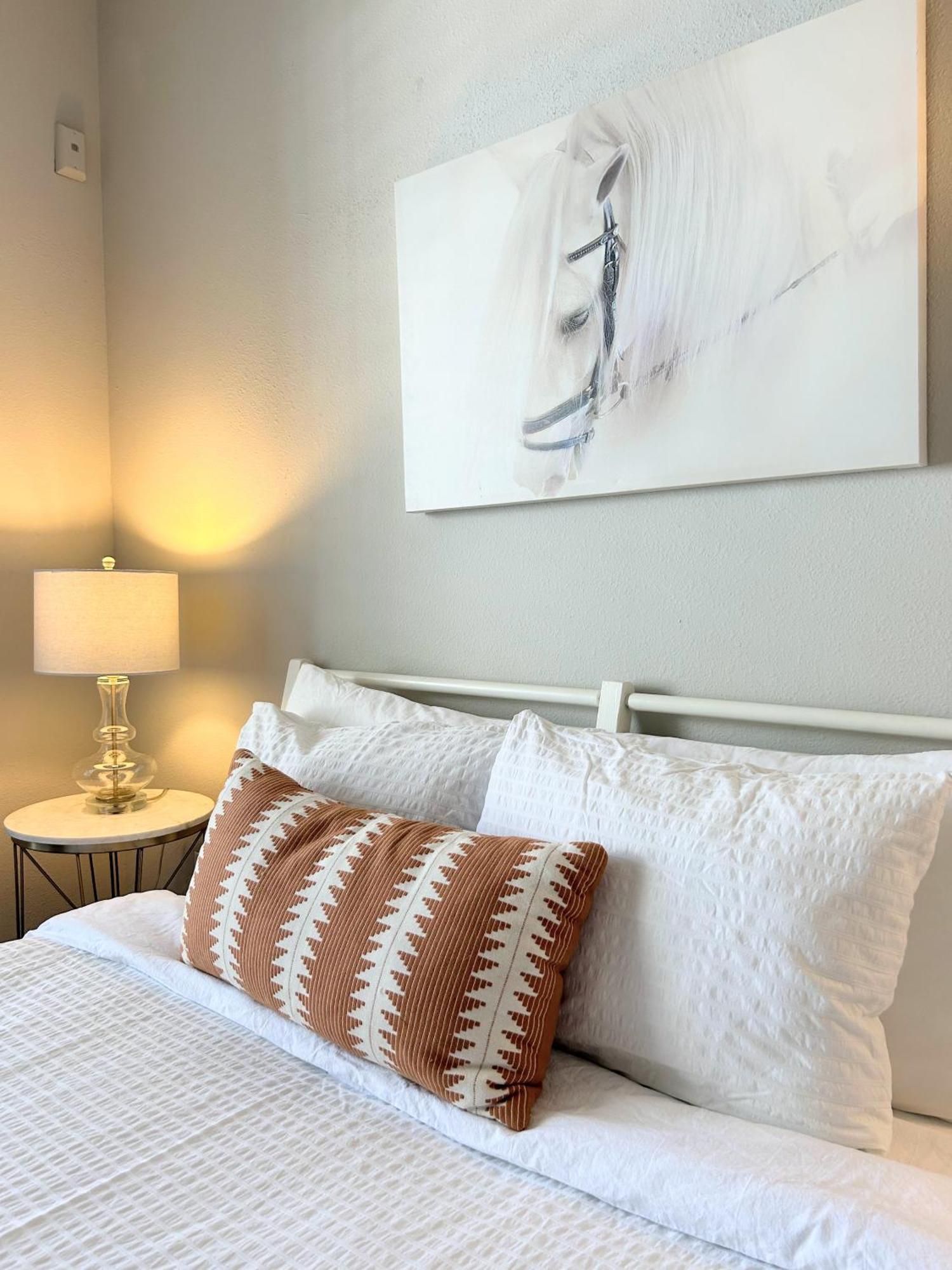 Hidden Gem At Med Center 2Br & 2Ba Apartment 休斯敦 外观 照片